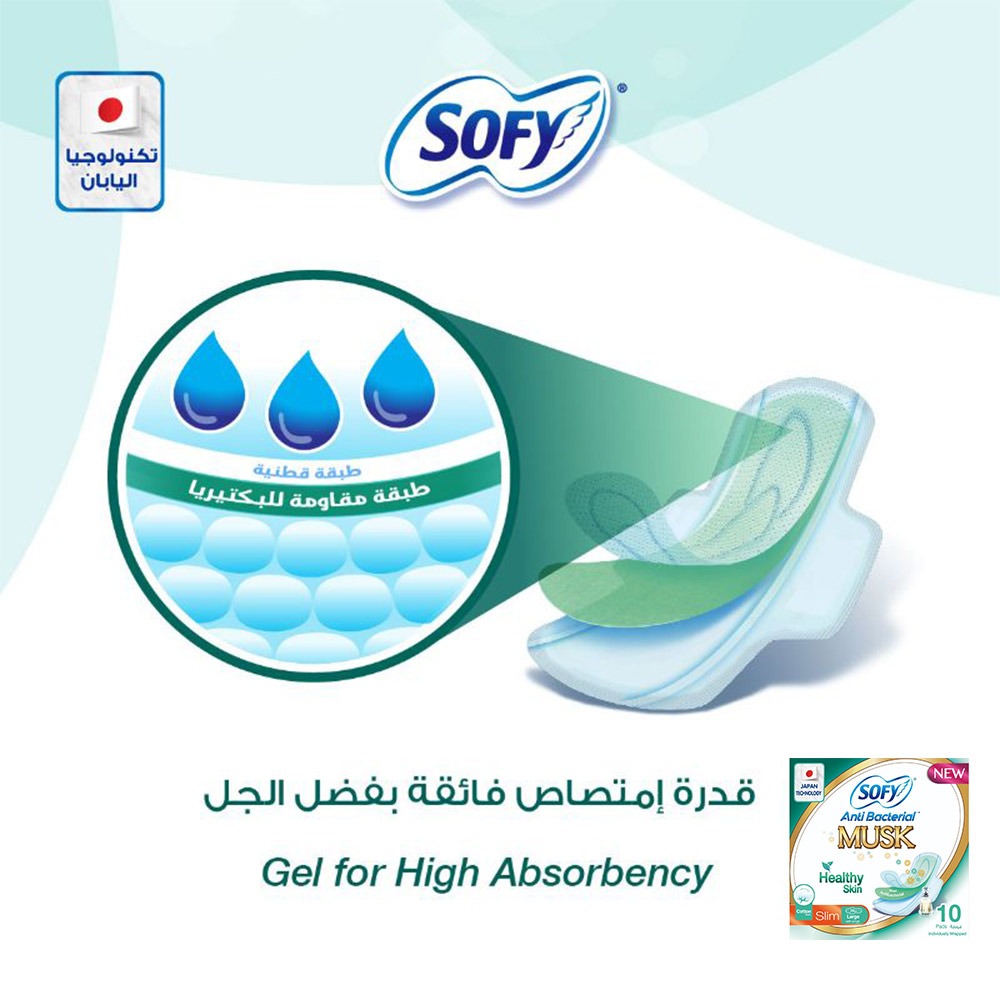 Sofy Anti-Bacterial Musk Healthy Skin Slim Sanitary Pad Large, Pack of 10 - Easy Pharmacy LLC