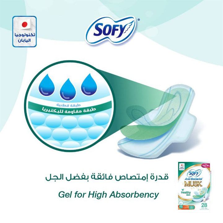 Sofy Anti-Bacterial Musk Healthy Skin Slim Sanitary Pad Large, Pack of 28 - Easy Pharmacy LLC