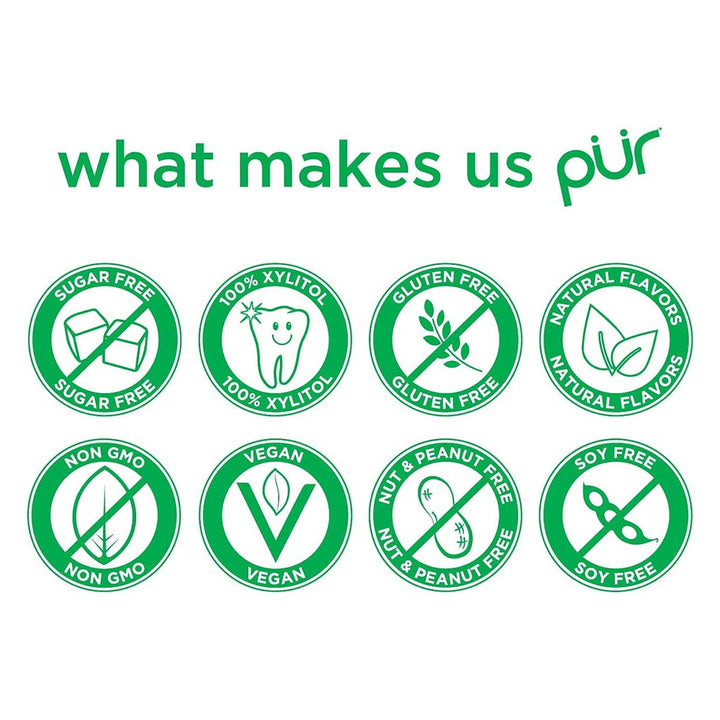 Pur Aspartame & Sugar Free Spearmint Chewing Gum With Xylitol 9 Pieces - Easy Pharmacy LLC