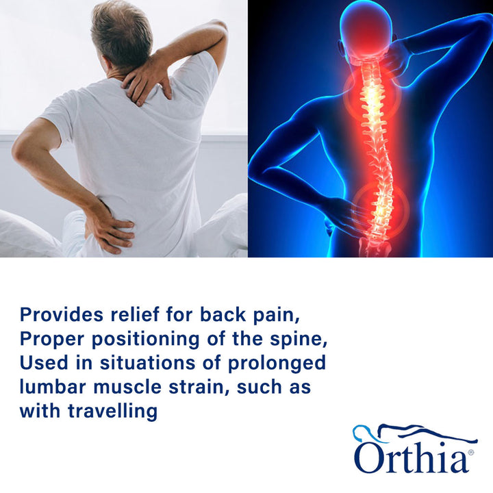 Orthia Lumbar Support Cushion 2401112 - Easy Pharmacy LLC