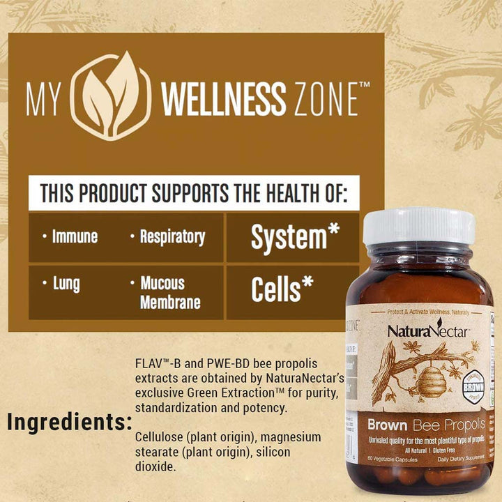 NaturaNectar Brown Bee Propolis Vegetable Capsule For Immune Support, Pack of 60's - Easy Pharmacy LLC