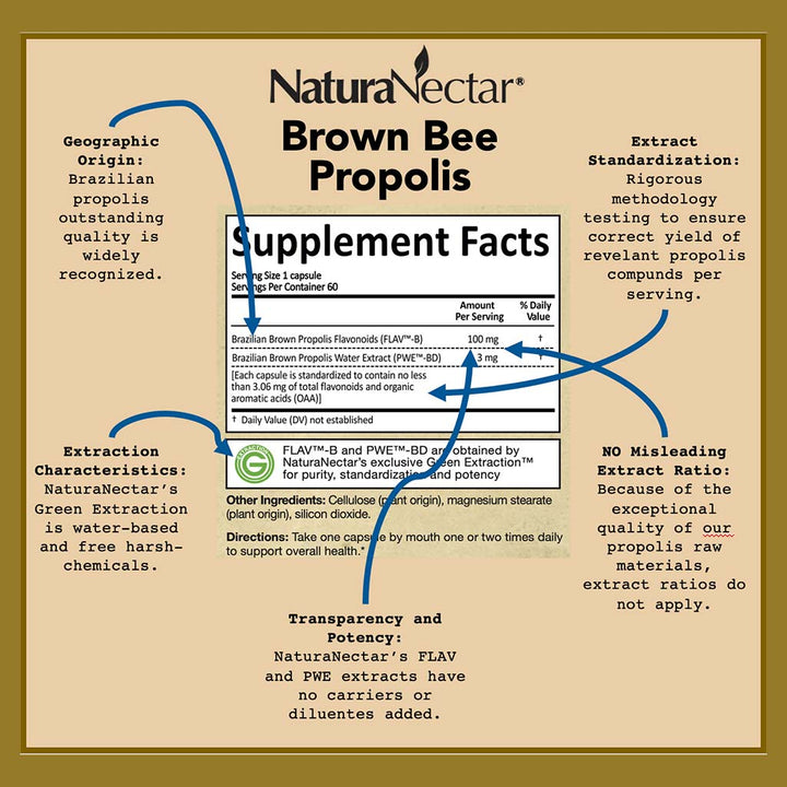 NaturaNectar Brown Bee Propolis Vegetable Capsule For Immune Support, Pack of 60's - Easy Pharmacy LLC
