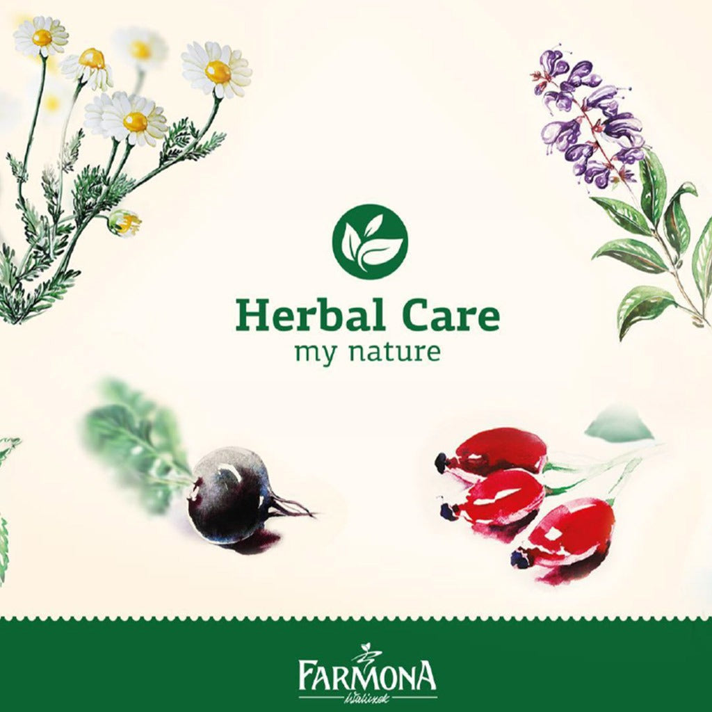 Farmona Herbal Care Horsetail Conditioner For Damaged Hair 200ml - Easy Pharmacy LLC