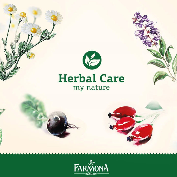 Farmona Herbal Care Horsetail Conditioner For Damaged Hair 200ml - Easy Pharmacy LLC