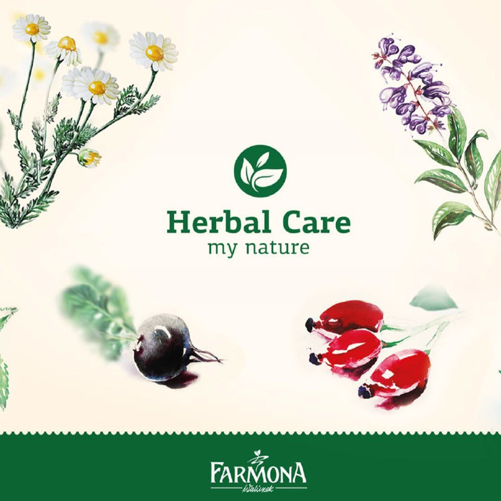 Farmona Herbal Care Horsetail Shampoo For Damaged Hair 330ml - Easy Pharmacy LLC