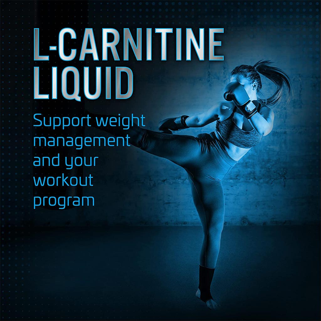 Basix L-Carnitine 3500 & Green Tea Liquid Fruit Punch For Endurance, Fruit Burst 480ml - Easy Pharmacy LLC