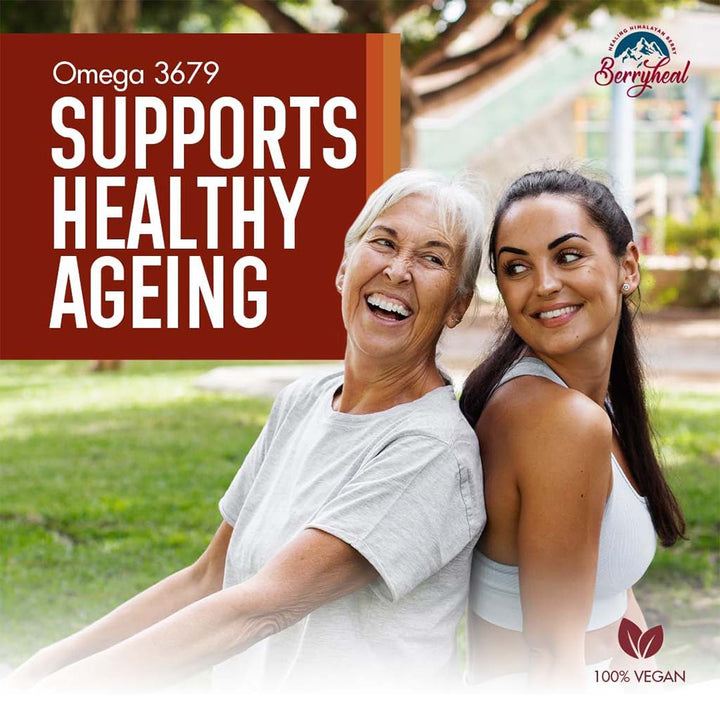 Berryheal Life Oil Omega 3-6-7-9 Sea Buckthorn Berry Oil Vegan Capsules For Immunity & Whole Body Wellness Pack of 60's - Easy Pharmacy LLC