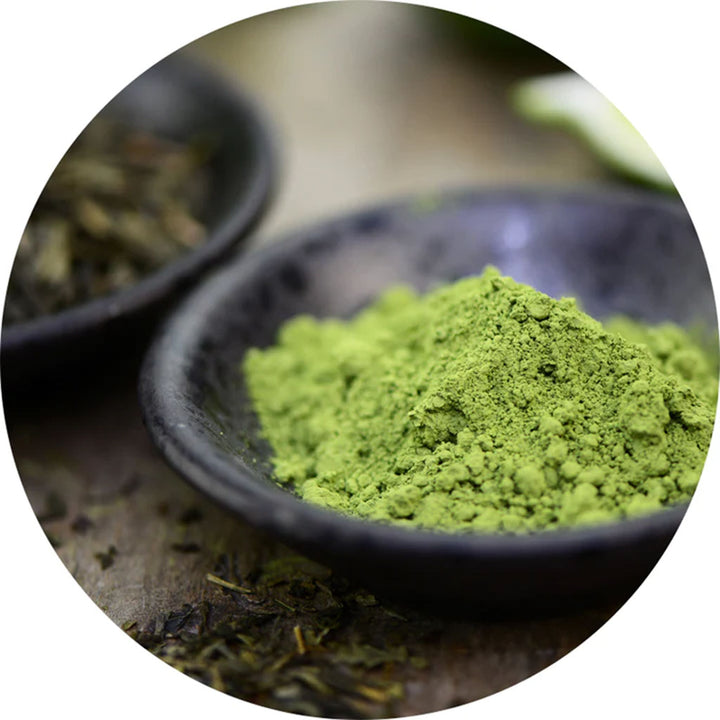 Green Foods All Natural Magma Plus Energizing Superfood Drink Powder 150g - Easy Pharmacy LLC