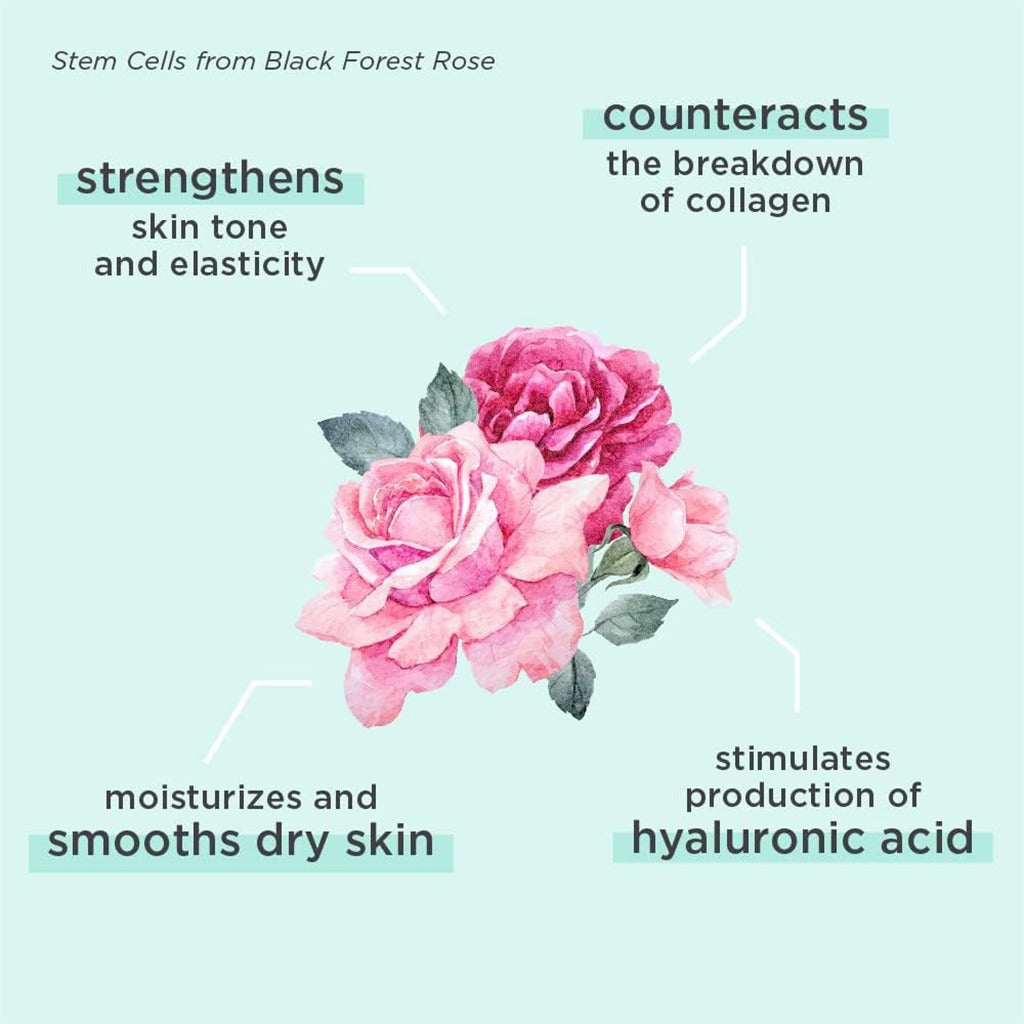 Annemarie Borlind Rose Blossom Vital Care Serum 50ml - Easy Pharmacy LLC
