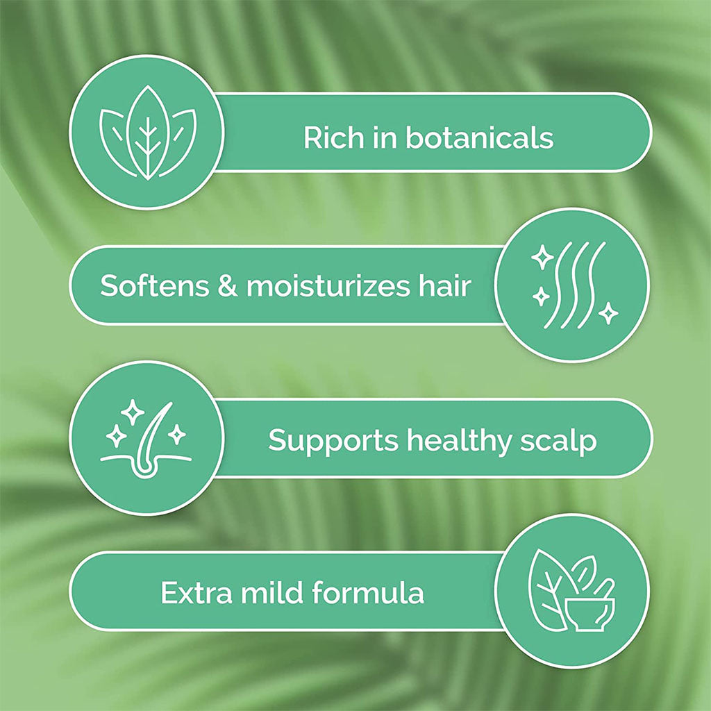 ShiKai Tea Tree Shampoo With Peppermint Oil 355ml - Easy Pharmacy LLC