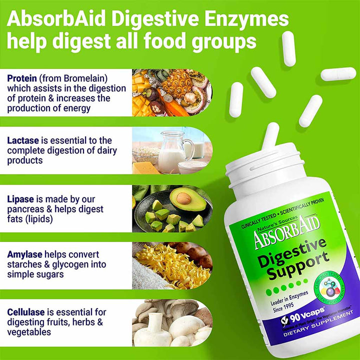 Nature's Sources AbsorbAid Digestive Enzyme Vegetarian Capsules For Digestive Support, Pack of 90's - Easy Pharmacy LLC