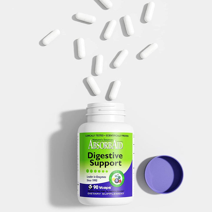 Nature's Sources AbsorbAid Digestive Enzyme Vegetarian Capsules For Digestive Support, Pack of 90's - Easy Pharmacy LLC