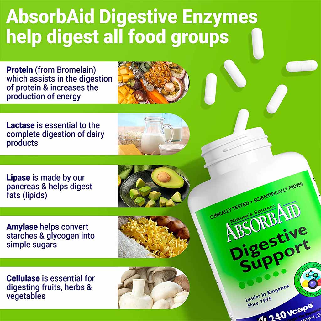 Nature's Sources AbsorbAid Digestive Enzyme Vegetarian Capsules For Digestive Support, Pack of 240's - Easy Pharmacy LLC