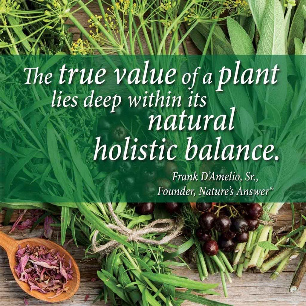 Nature's Answer Plant Head Plant based Clean Vegan Protein Powder 30 Servings, Vanilla 780g - Easy Pharmacy LLC
