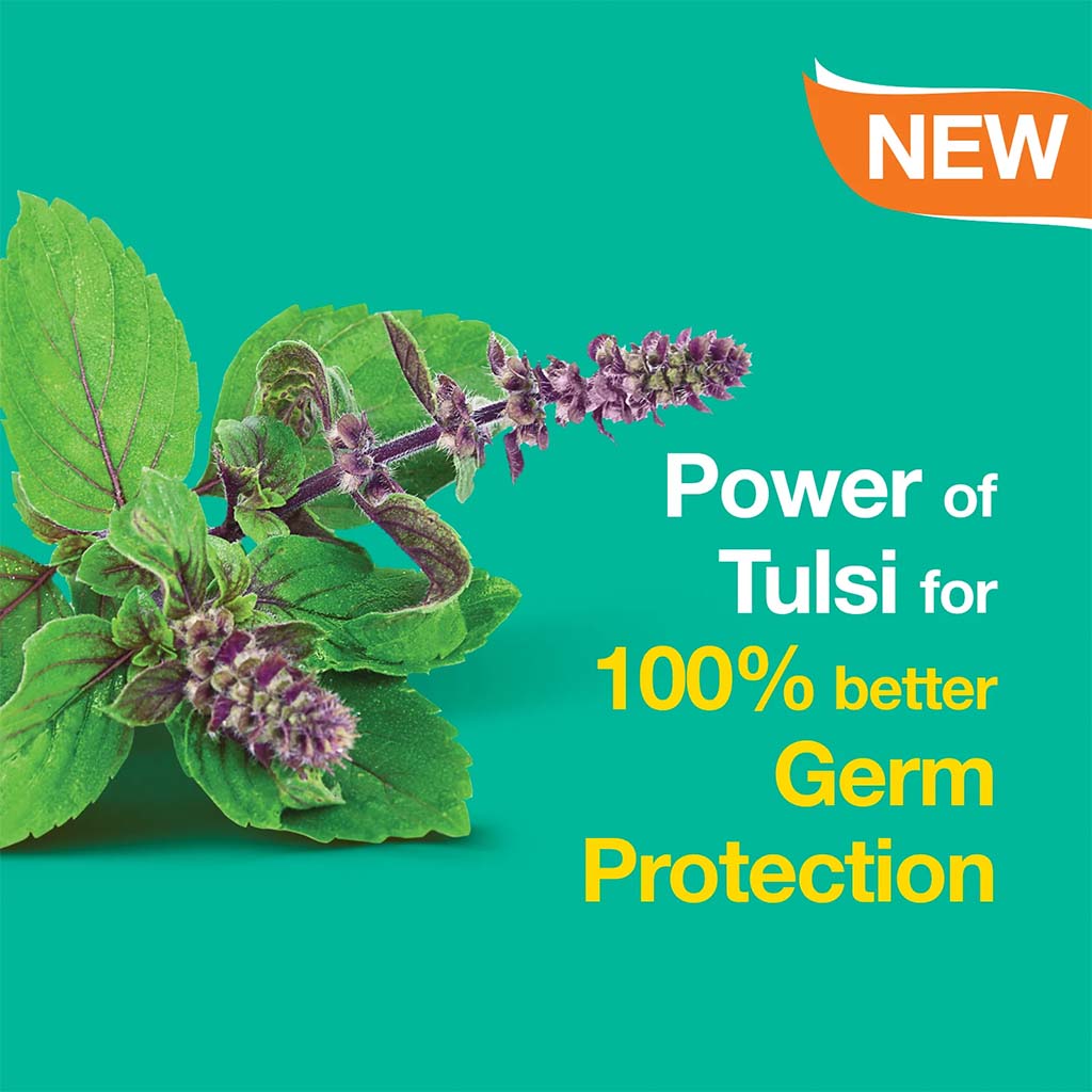 Himalaya Pure Hands Anti-Bacterial Hand Wash With Tulsi & Lemon 250ml - Easy Pharmacy LLC