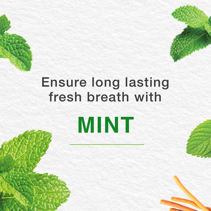 Himalaya Gum Expert Mint Fresh Paraben-Free Herbal Toothpaste Gel 100ml, Pack of 2's - Easy Pharmacy LLC