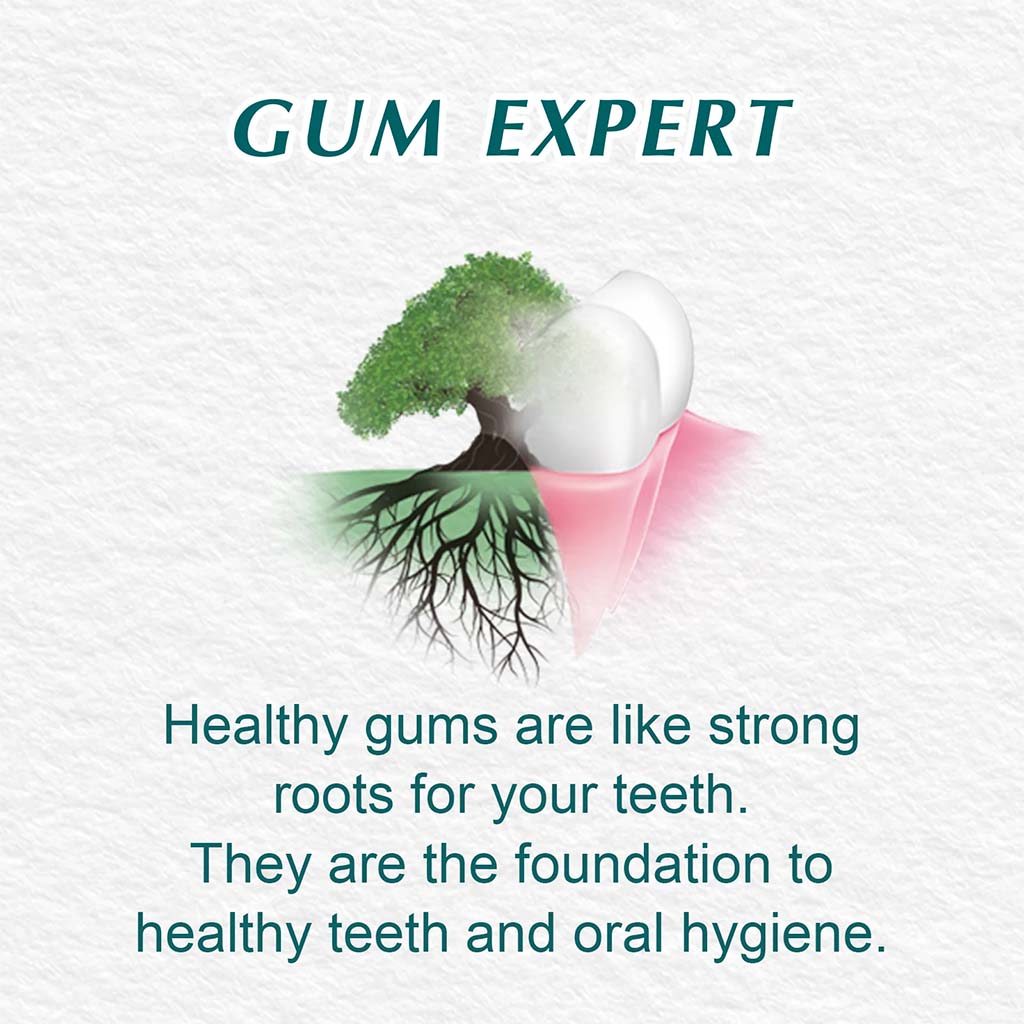 Himalaya Gum Expert Mint Fresh Paraben-Free Herbal Toothpaste Gel 100ml, Pack of 2's - Easy Pharmacy LLC
