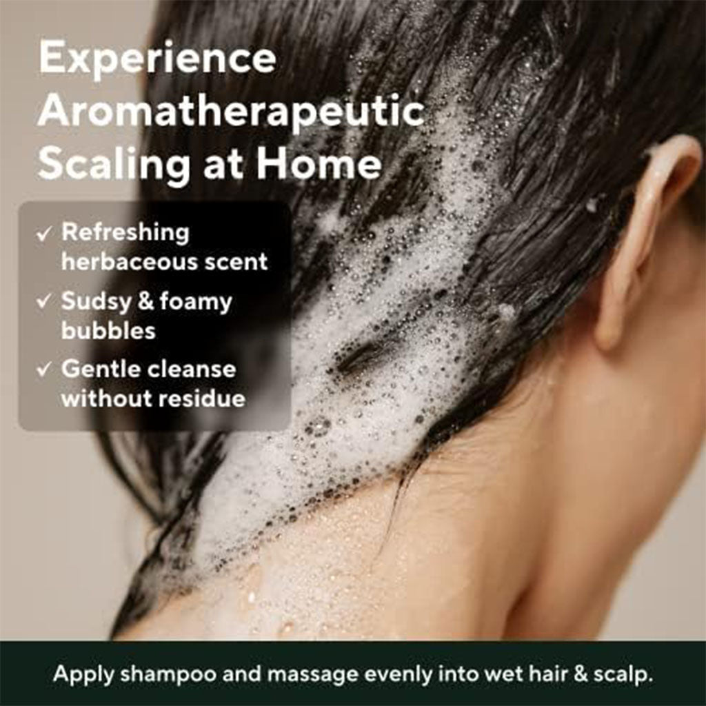 Aromatica Rosemary Scalp Scaling Anti-Dandruff shampoo 400ml - Easy Pharmacy LLC