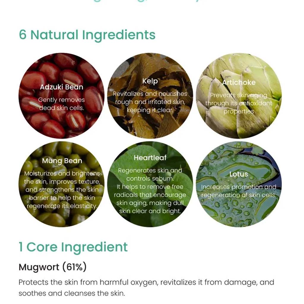 Axis-Y Mugwort Pore Clarifying Relax & Care Wash Off Face Pack 100ml - Easy Pharmacy LLC