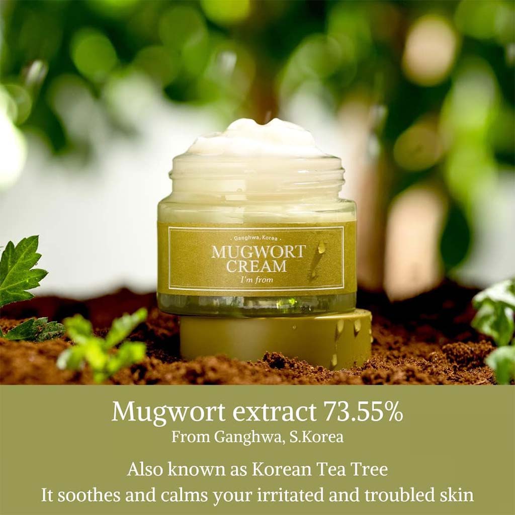 I'm From Mugwort Moisturizing Facial Cream 50g - Easy Pharmacy LLC