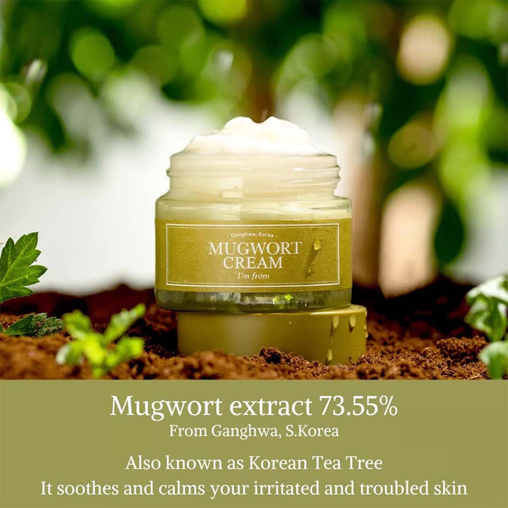 I'm From Mugwort Moisturizing Facial Cream 50g - Easy Pharmacy LLC