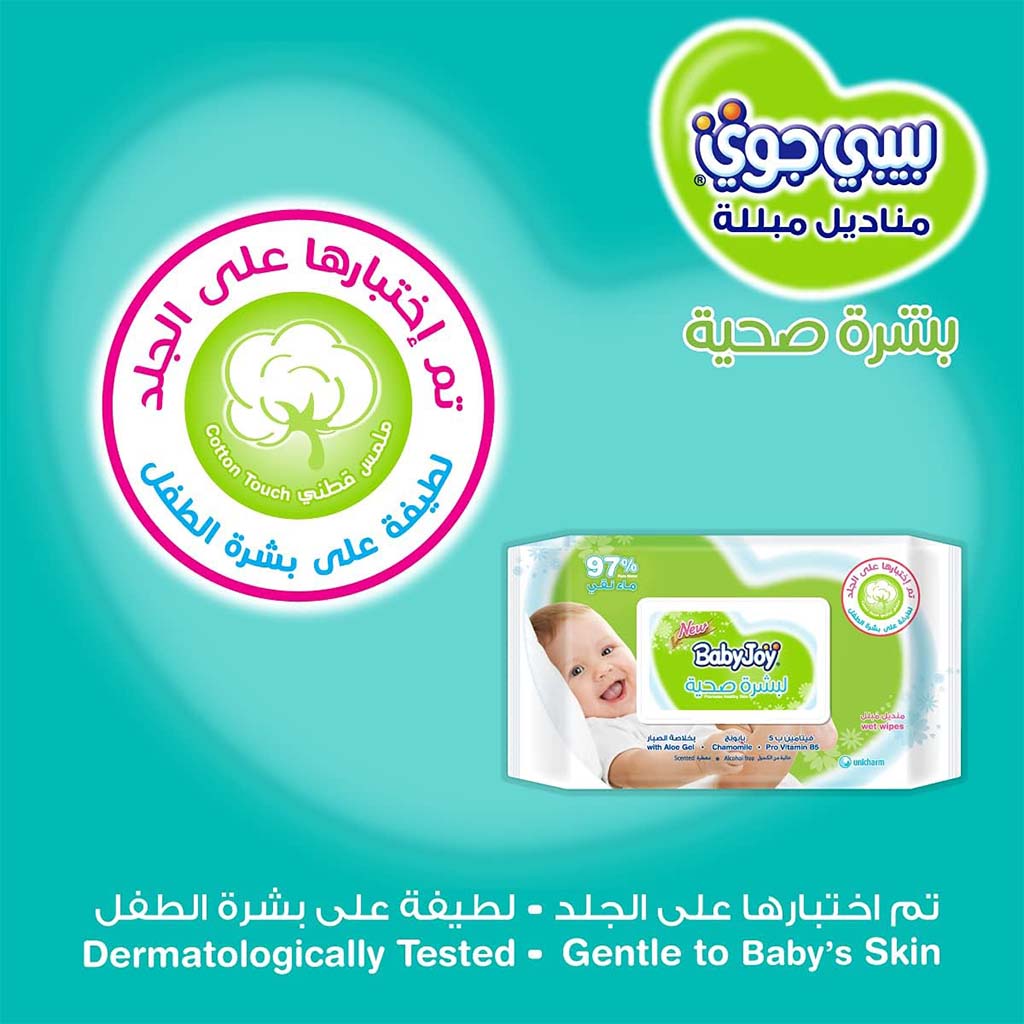 BabyJoy Healthy Skin Gentle Baby Wet Wipes With 0% Alcohol, Mega Pack of 200's - Easy Pharmacy LLC
