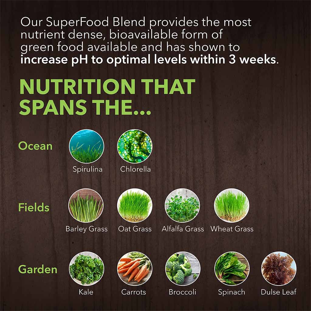 PlantFusion Organic Alkalizing Greens Fermented Superfood Powder Blend 240g - Easy Pharmacy LLC