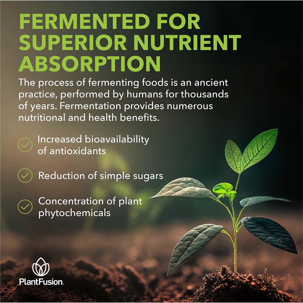 PlantFusion Organic Alkalizing Greens Fermented Superfood Powder Blend 240g - Easy Pharmacy LLC