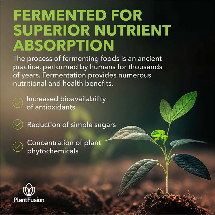 PlantFusion Organic Turmeric and Ginger Fermented Superfood Powder Blend 135g - Easy Pharmacy LLC