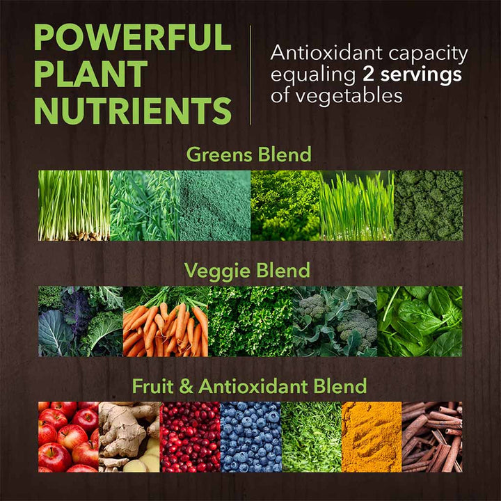 PlantFusion Organic Fruitiful Greens Fermented Superfood Powder Blend 240g - Easy Pharmacy LLC
