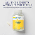 Solaray Niacin No Flush 500 Mg Veg Capsules Energy Support 100 Count