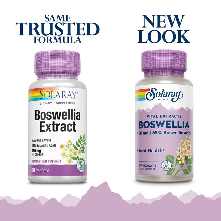 Solaray Boswellia Resin Extract 450mg Vegetarian Capsules For Joint Health, Pack of 60's - Easy Pharmacy LLC
